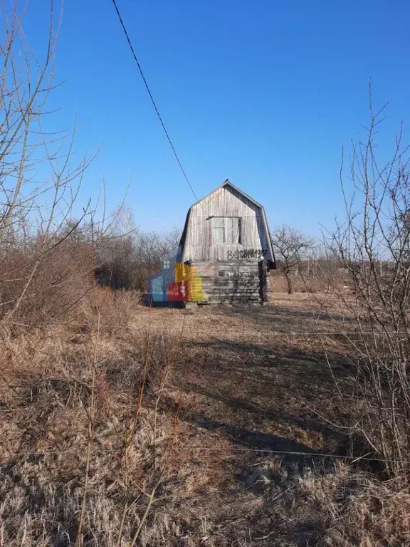 Участок в Тульская область, Ясногорский район, Ревякинское с/пос, № 25 ... - Фото 2