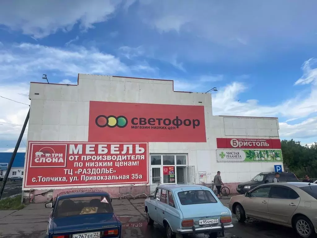 Торговая площадь в Алтайский край, Топчихинский район, с. Топчиха ул. ... - Фото 1