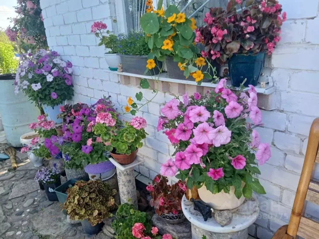 Дом в Костромская область, Костромской район, Бакшеевское с/пос, ... - Фото 1