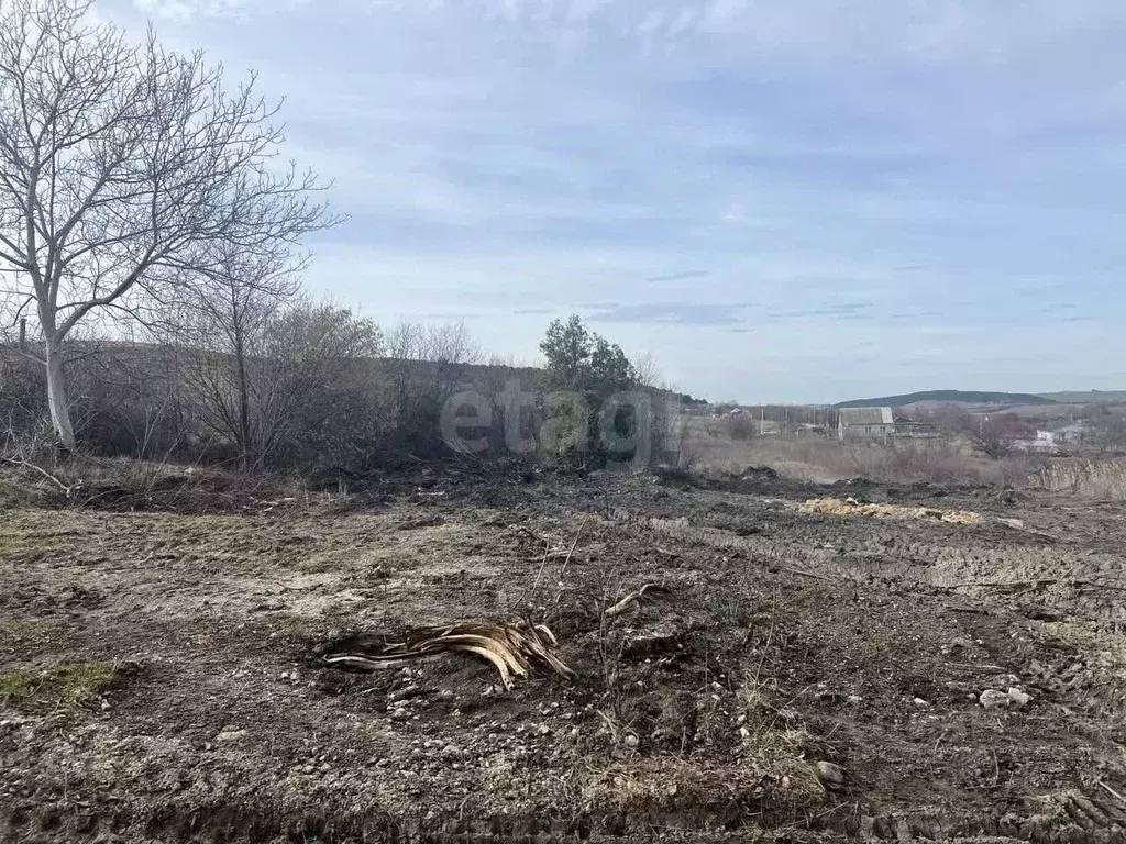 Участок в Крым, Симферопольский район, Трудовское с/пос, с. Денисовка ... - Фото 1