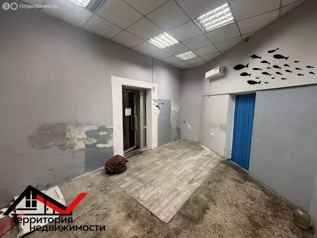 Помещение свободного назначения (34 м) - Фото 2