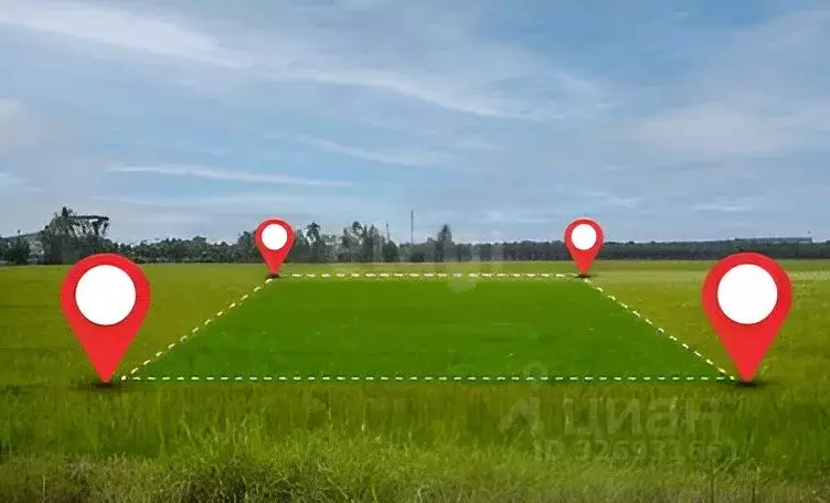 Участок в Ярославская область, Некрасовское рп ул. Советская (12.0 ... - Фото 1