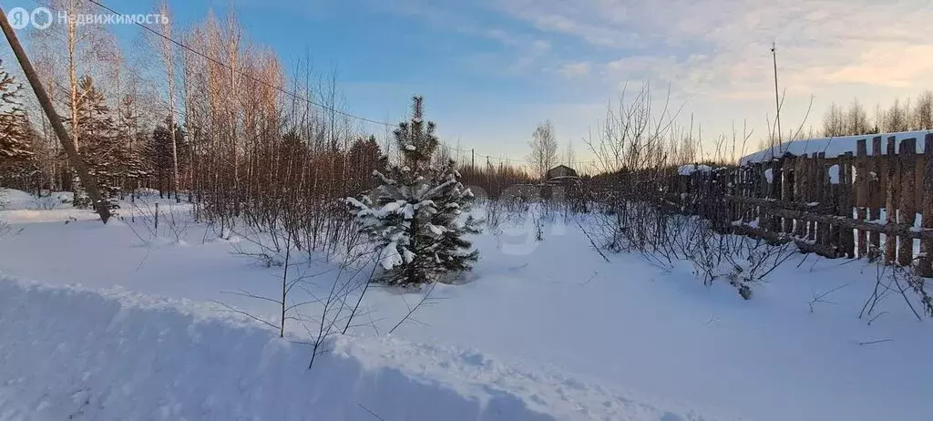 Участок в Челябинская область, Каслинский муниципальный округ, село ... - Фото 1