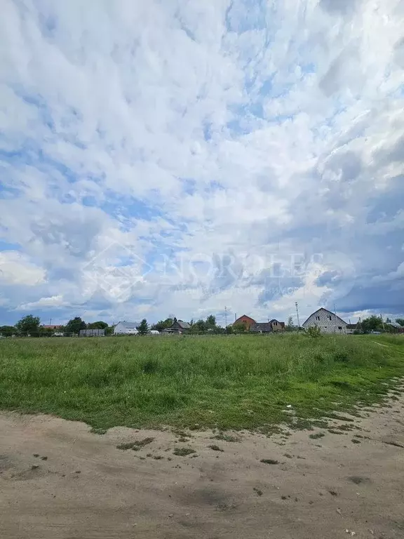 Участок 12 сот. (СНТ, ДНП) - Фото 1