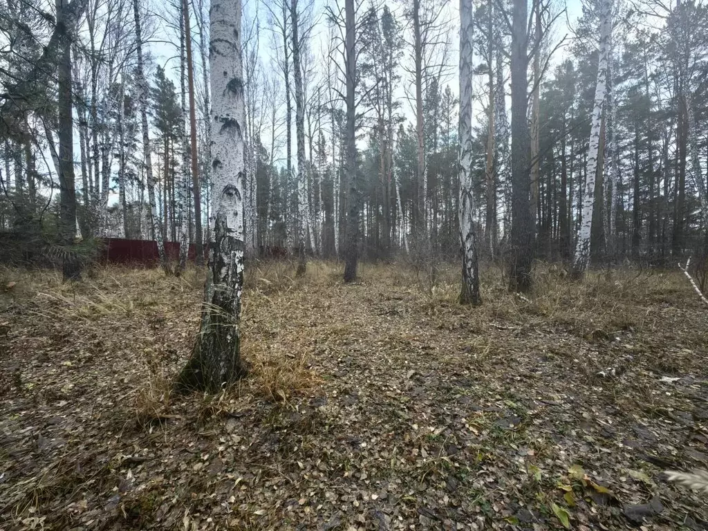 Участок в Свердловская область, Белоярский городской округ, пос. ... - Фото 0