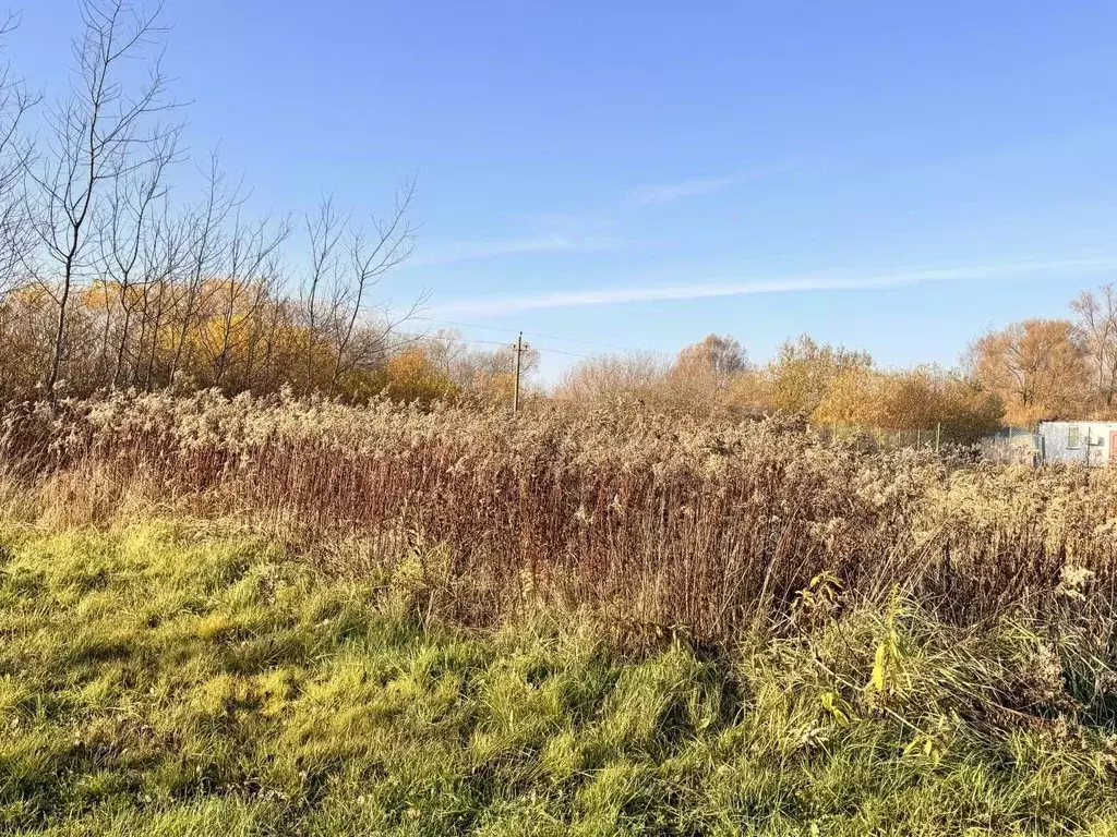 Участок в Калининградская область, Гурьевский муниципальный округ, ... - Фото 1
