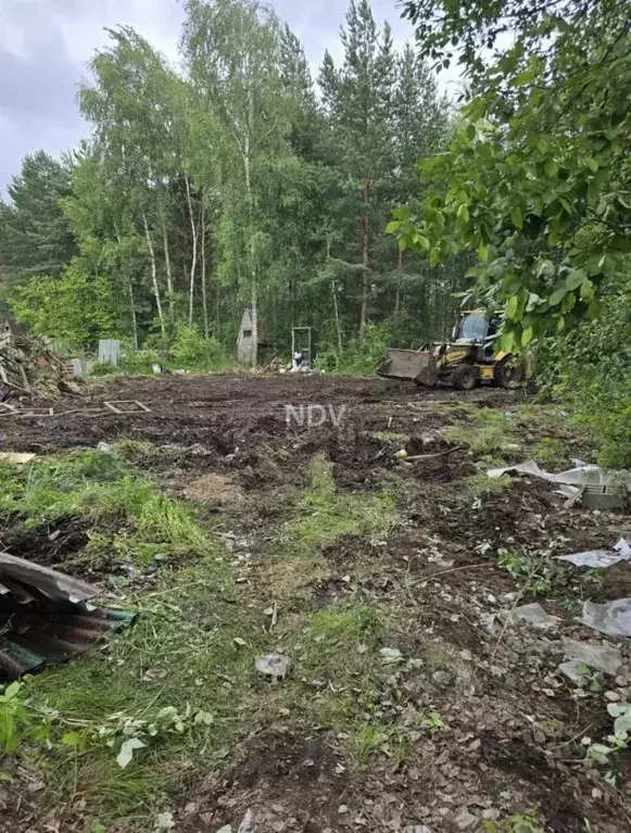 Участок в Московская область, Богородский городской округ, Покрова СНТ ... - Фото 2