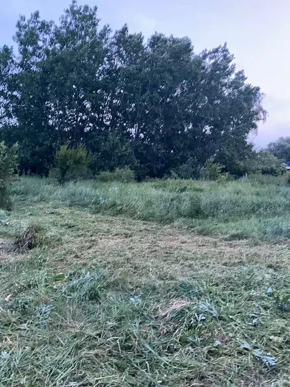 Участок 8 сот. (СНТ, ДНП) - Фото 1