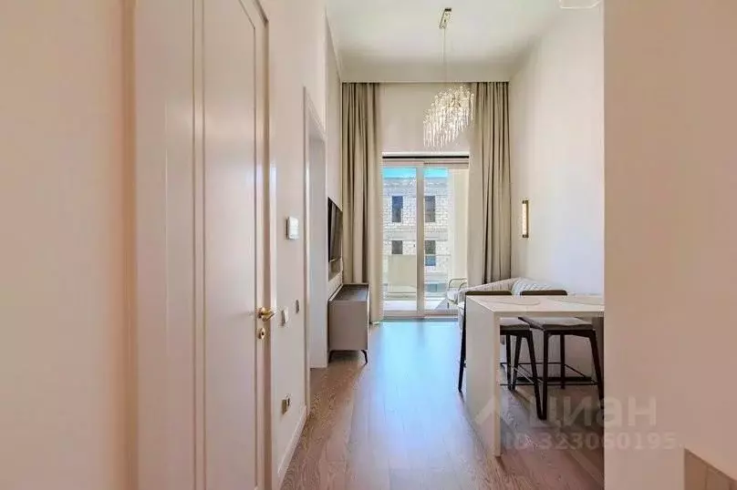 1-к кв. Краснодарский край, Сочи Виноградная ул., 14 (50.0 м) - Фото 2