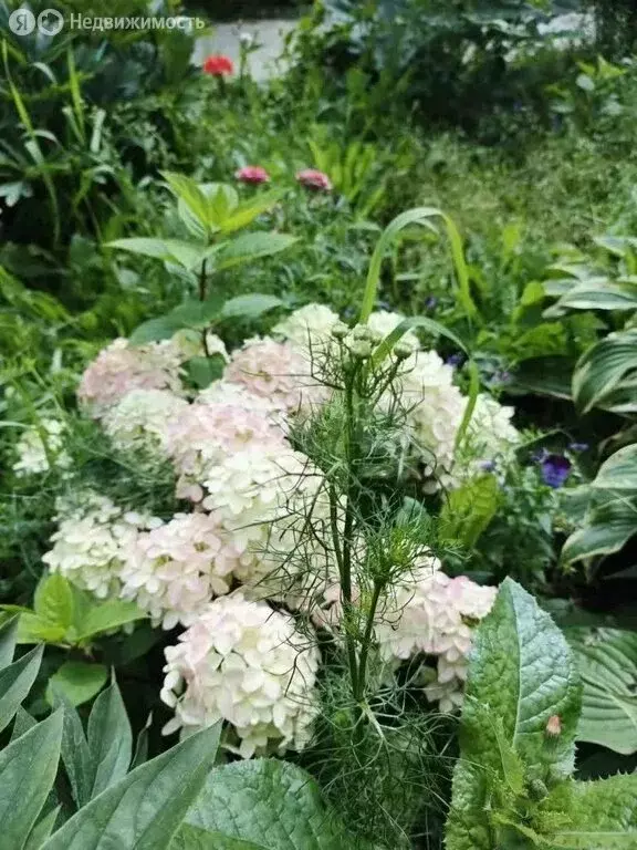 Дом в село Червишево, Трактовая улица (50.6 м) - Фото 2