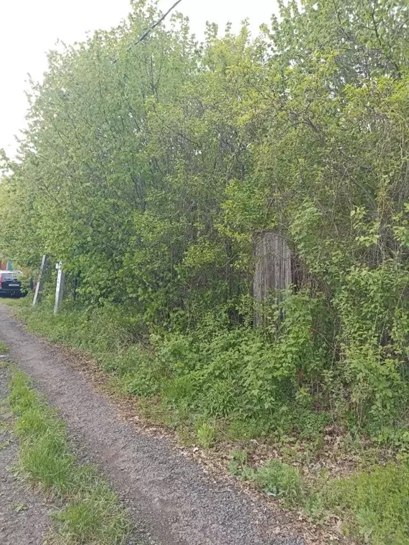 Участок в Московская область, Ленинский городской округ, Мисайлово ... - Фото 1