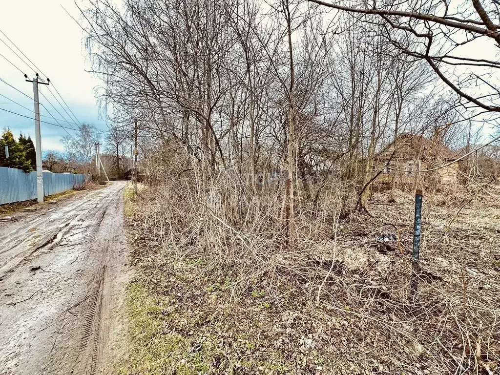 Участок в Московская область, Пушкинский городской округ, Софрино пгт  ... - Фото 2