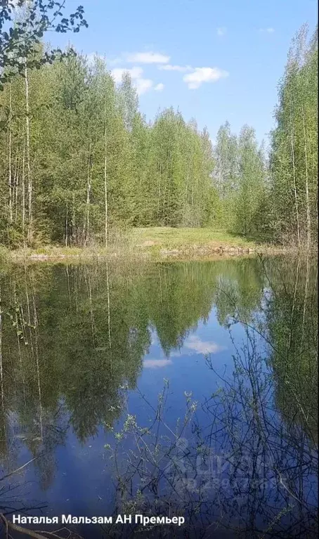 Участок в Кировская область, Кирово-Чепецкий район, Федяковское с/пос, ... - Фото 0