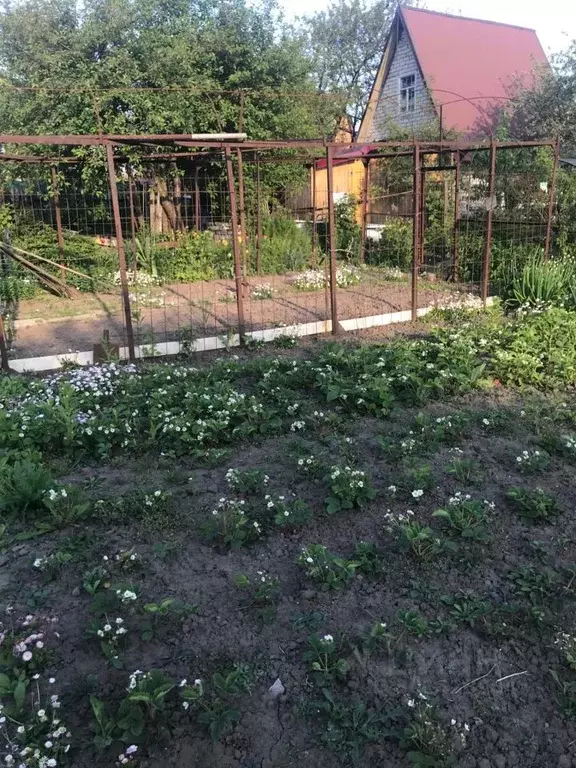 Дом в Курская область, Железногорск Городские сады СНТ, ул. 4-я (12 м) - Фото 2