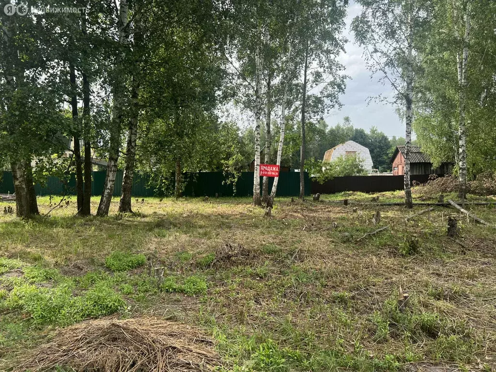 Участок в Сети, Берёзовая улица (10 м) - Фото 0