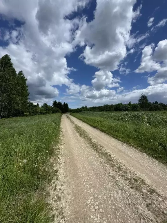 Участок в Московская область, Серпухов городской округ, д. ... - Фото 1