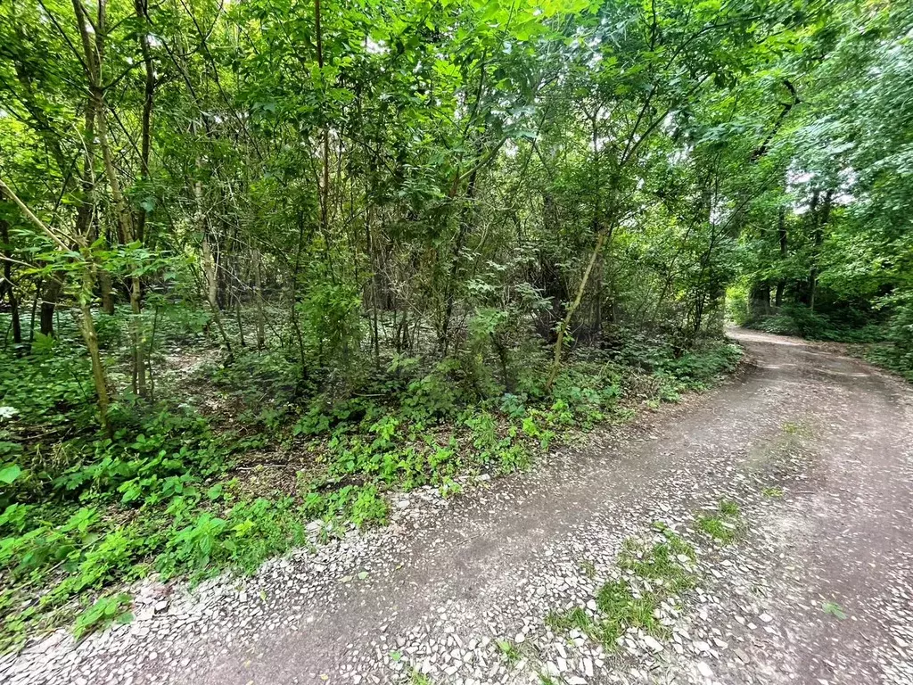 Участок 6 сот. (СНТ, ДНП) - Фото 1