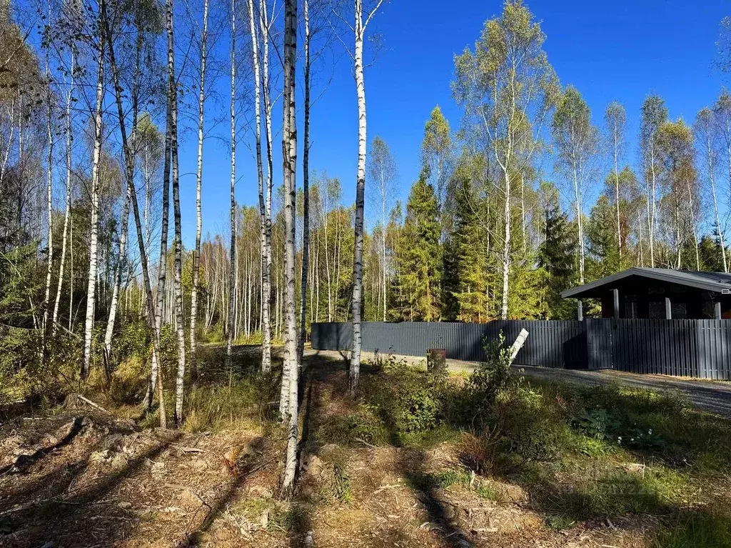 Участок в Московская область, Дмитровский муниципальный округ, ... - Фото 1