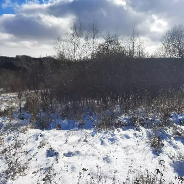 Участок в Московская область, Ступино городской округ, д. Лаптево  ... - Фото 0