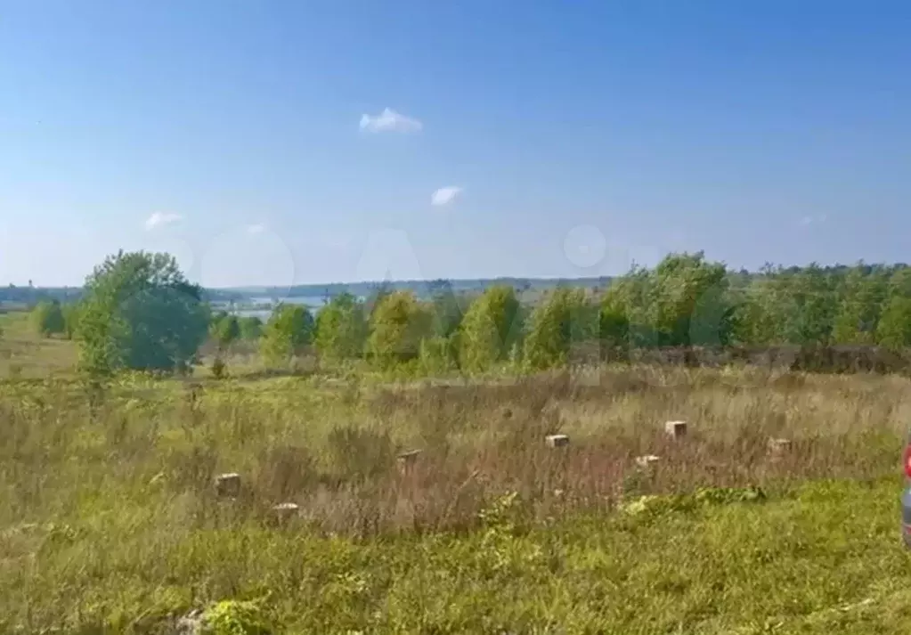 Участок 25 сот. (ИЖС) - Фото 1