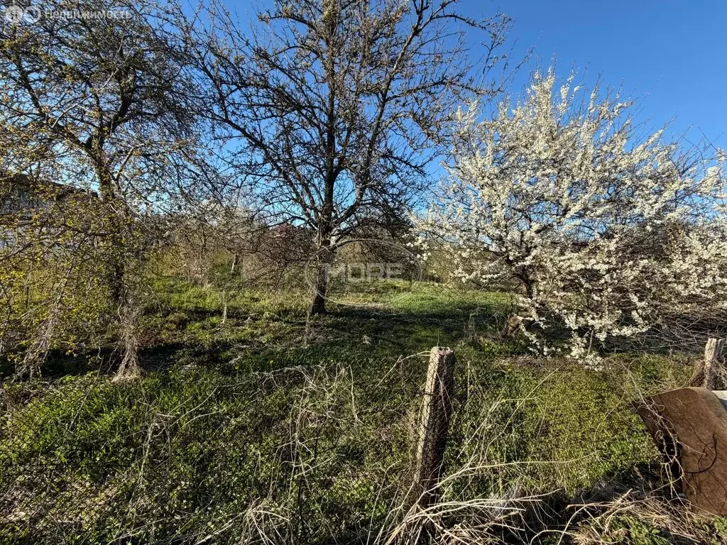 Участок в Калининград, СНТ Дружба-2, Флотский проезд, 39 (9.34 м) - Фото 1