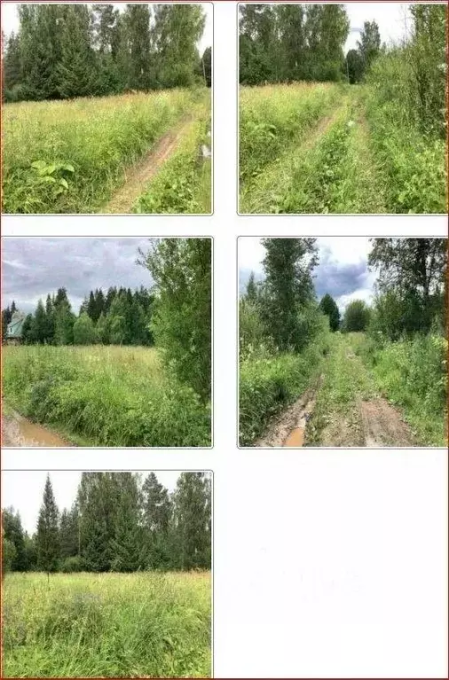 Участок в Ленинградская область, Киришский район, Пчевжинское с/пос, ... - Фото 0