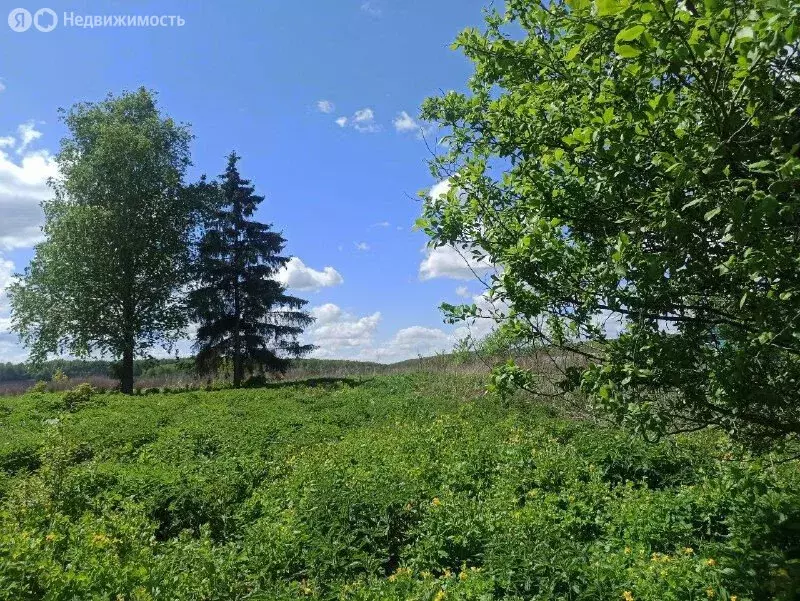 Участок в Мценский район, Алябьевское сельское поселение, деревня ... - Фото 0