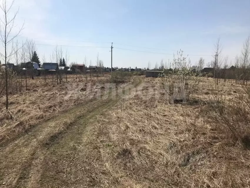 Участок в Новосибирская область, Новосибирский район, Кудряшовский ... - Фото 1