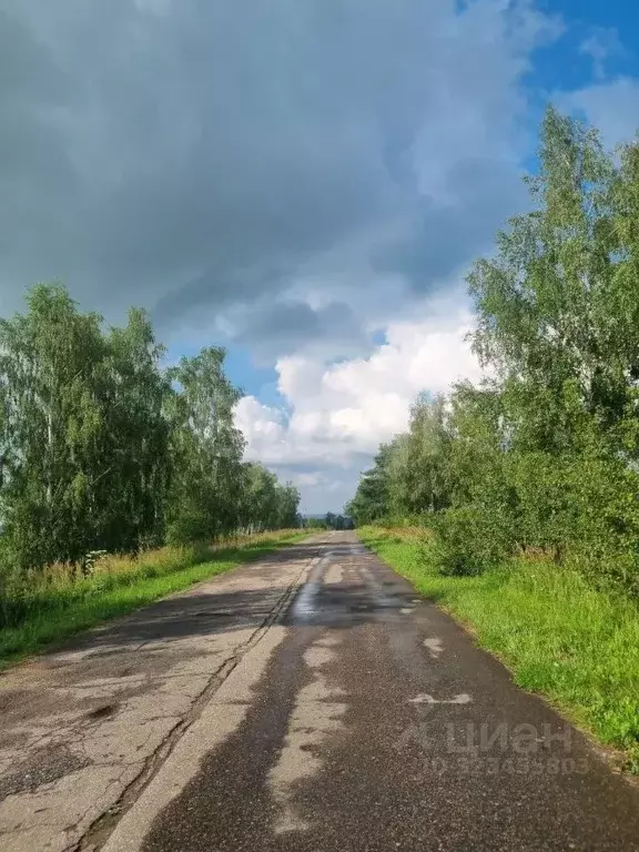 Участок в Калужская область, Жуковский муниципальный округ, с. ... - Фото 1