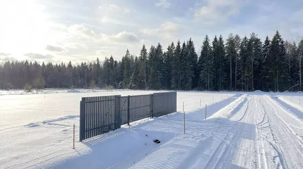 Участок в Московская область, Наро-Фоминский городской округ, Кедрица ... - Фото 1