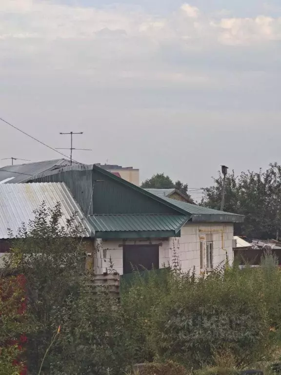 Дом в Алтайский край, Барнаул Промышленная ул., 154/2 (53 м) - Фото 2