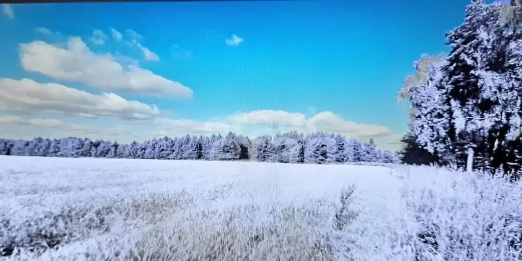 Участок в Владимирская область, Ковровский район, Ивановское с/пос, д. ... - Фото 2