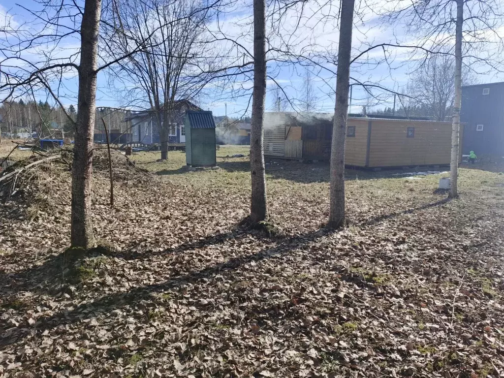 Участок в Ленинградская область, Выборгский район, Приморское ... - Фото 2