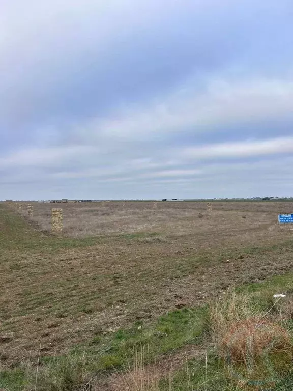 Участок в Крым, Сакский район, Молочненское с/пос, Молочненский ... - Фото 2