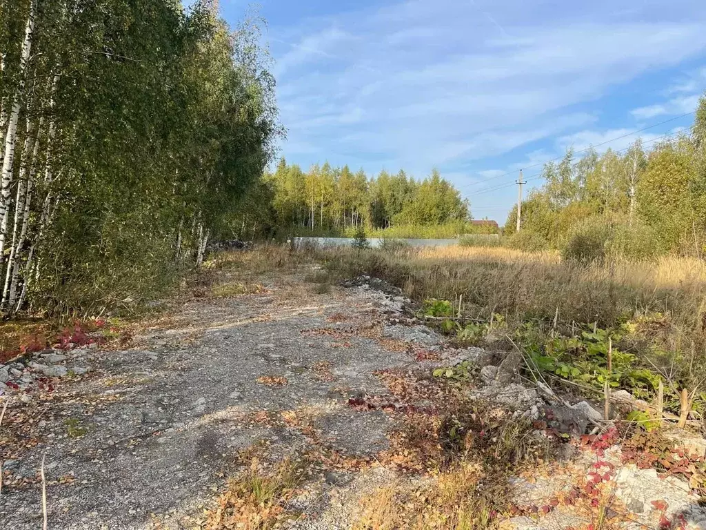 Участок в Московская область, Коломна городской округ, пос. ... - Фото 0