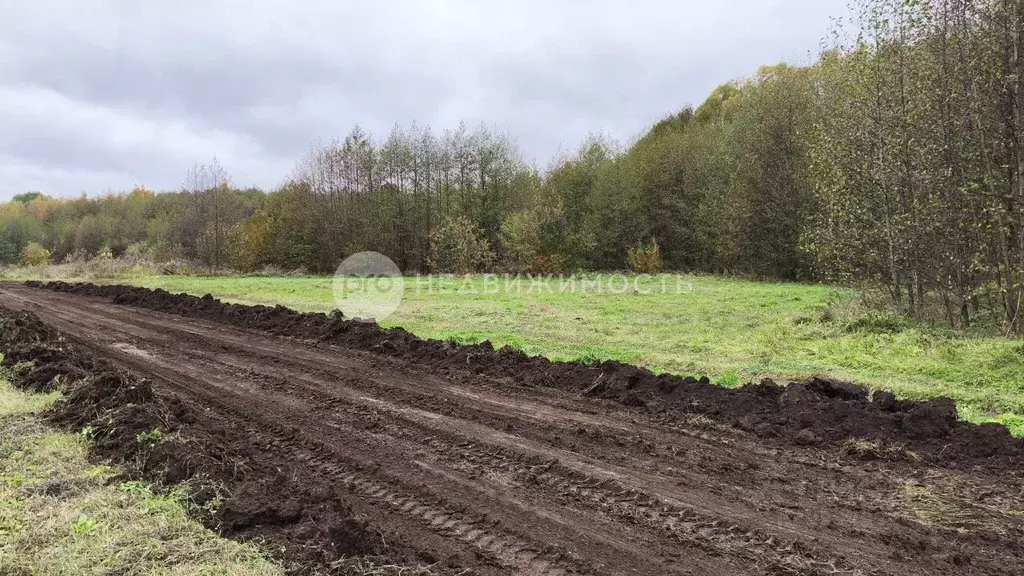 Участок в Рязанская область, Рыбное ул. Матюхина, 56 (10.0 сот.) - Фото 2