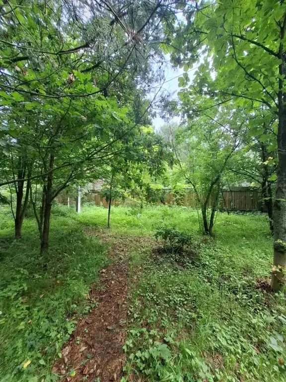Участок в Московская область, Одинцовский городской округ, Фортуна СНТ ... - Фото 1