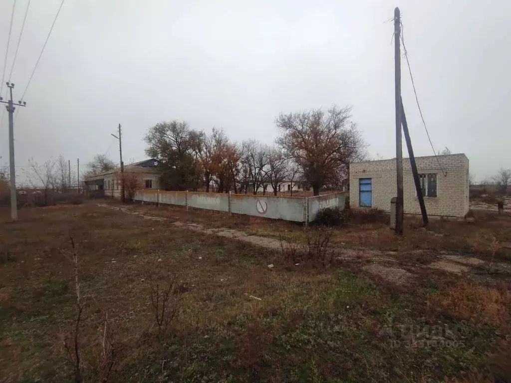 Помещение свободного назначения в Саратовская область, Питерское ... - Фото 1