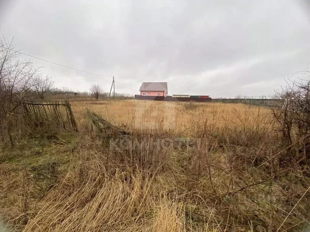 Участок в Воронежская область, Рамонский район, с. Скляево Центральная ... - Фото 2