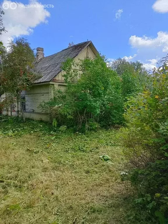 Участок в Волосовский район, Большеврудское сельское поселение, ... - Фото 1