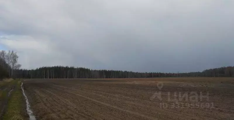 Участок в Московская область, Орехово-Зуевский городской округ, д. ... - Фото 2