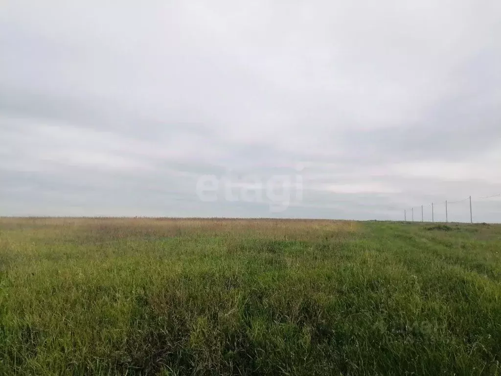 Участок в Белгородская область, Белгородский район, Головинское с/пос, ... - Фото 2