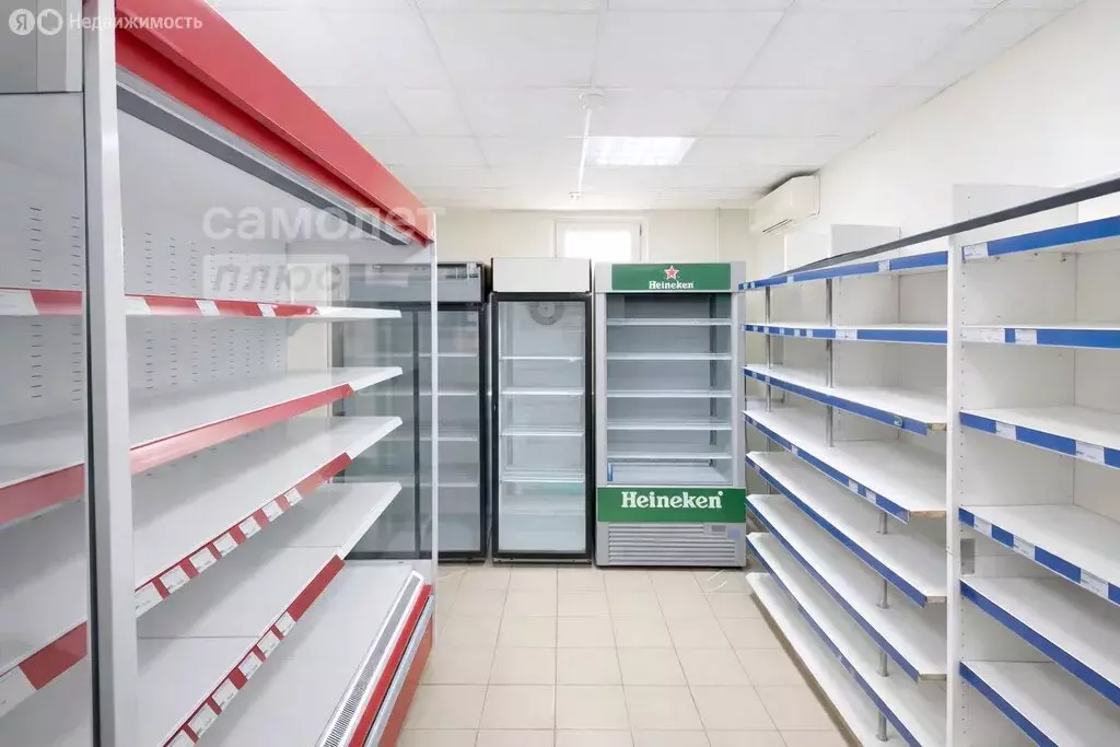 Торговая площадь (64.1 м) - Фото 2