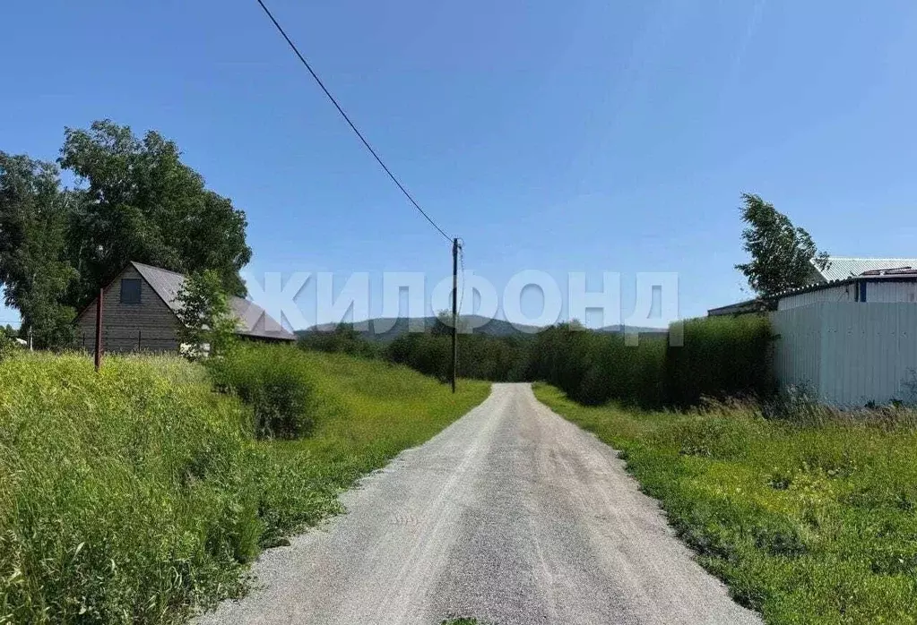 Участок в Новосибирская область, Новосибирский район, Верх-Тулинский ... - Фото 1