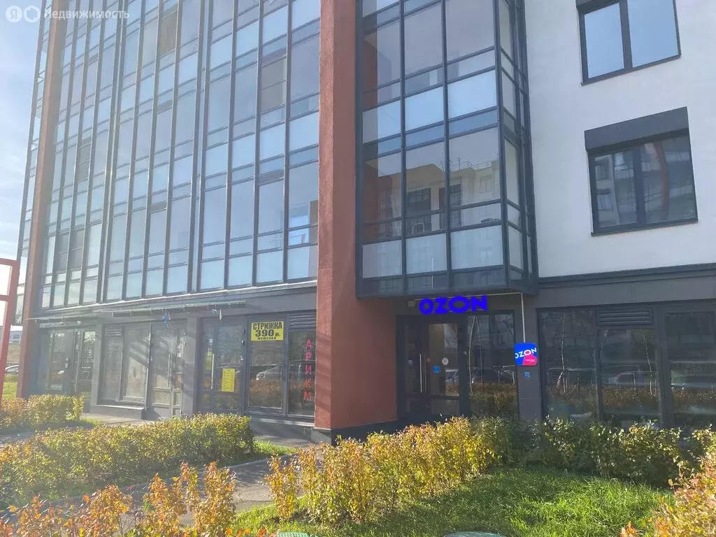Помещение свободного назначения (41 м) - Фото 1