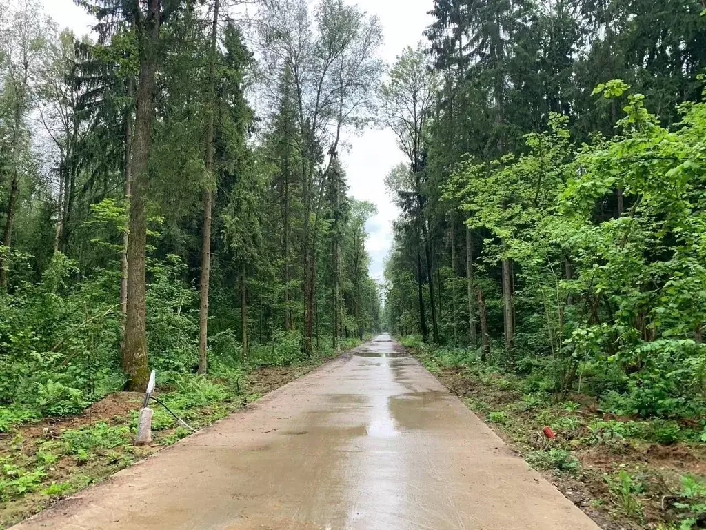 Участок в Московская область, Дмитровский муниципальный округ, д. ... - Фото 2