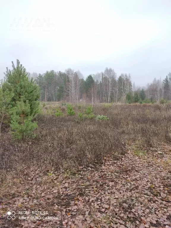 Участок в Нижегородская область, Сокольский городской округ, д. ... - Фото 1