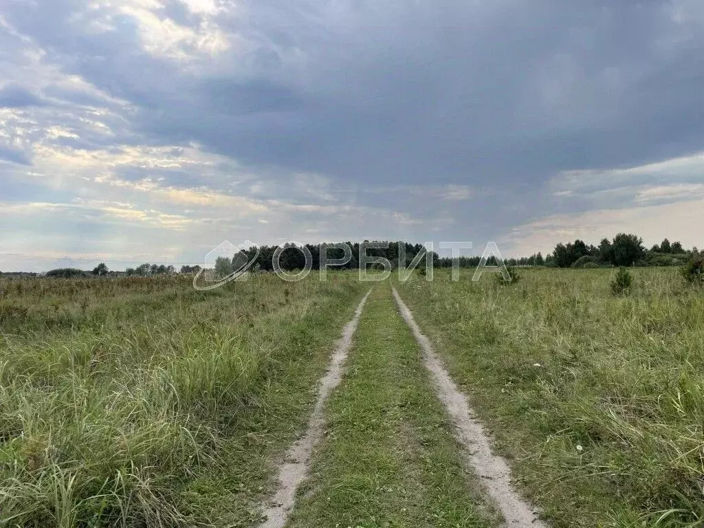 Участок в Тюменская область, Тюмень Лаванда садовое товарищество,  ... - Фото 2
