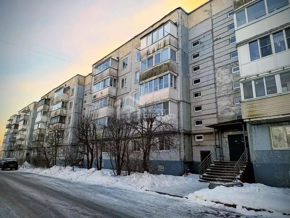 2-к кв. Ленинградская область, Ломоносовский район, Лебяженское ... - Фото 1