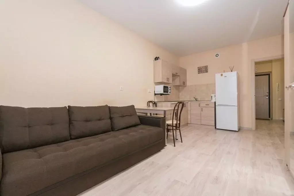 Студия Новосибирская область, Новосибирск Красный просп., 305 (27.0 м) - Фото 1